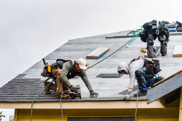 Professional Storm Damage Roof Repair technician working in Fort Ripley, MN
